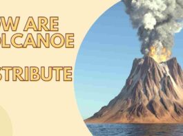 How Are Volcanoes Distributed